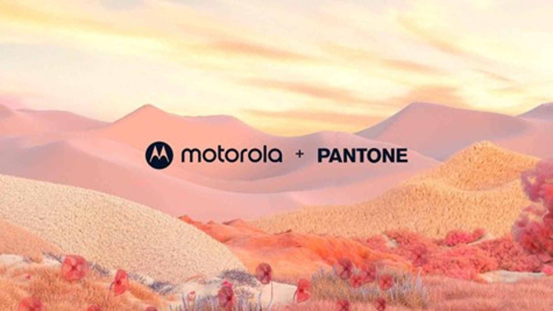 Motorola Edge 50 Neo: Dizajn ďalšieho modelu série odhalený