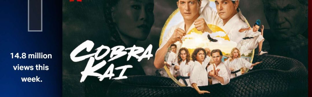 kobra kai netflix tv show