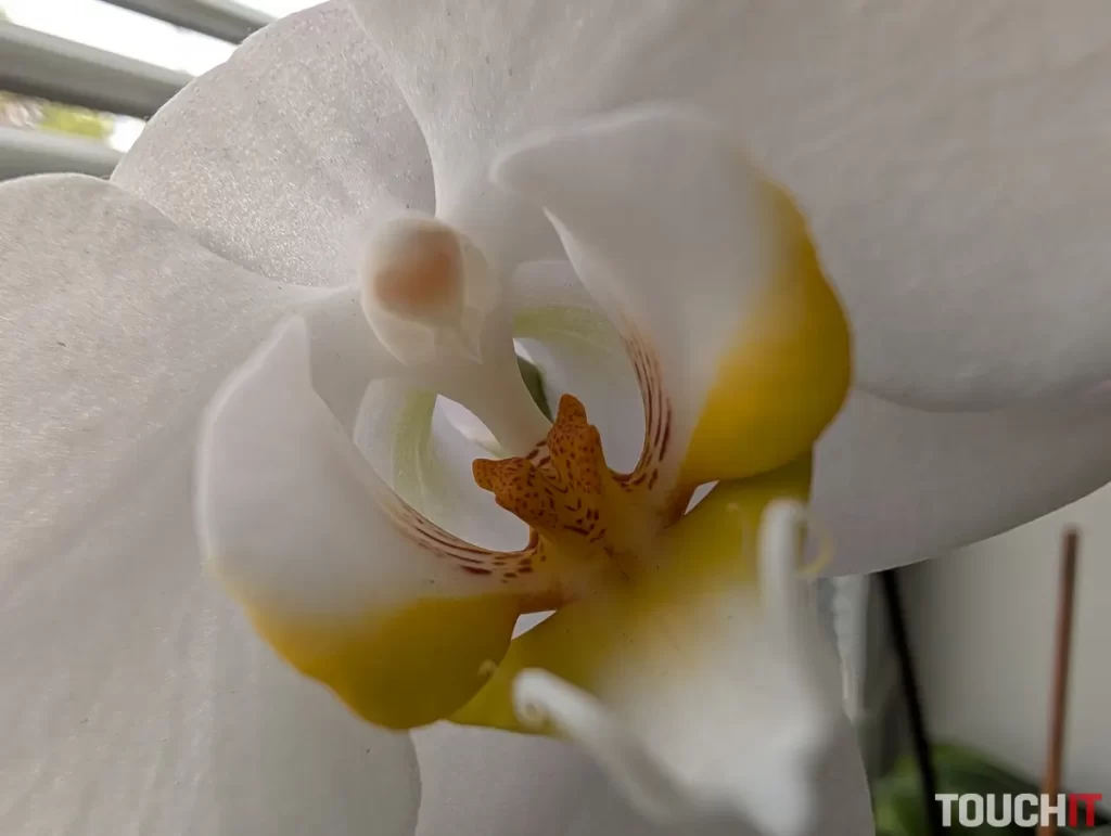 Google Pixel 9 Pro XL denné fotografie