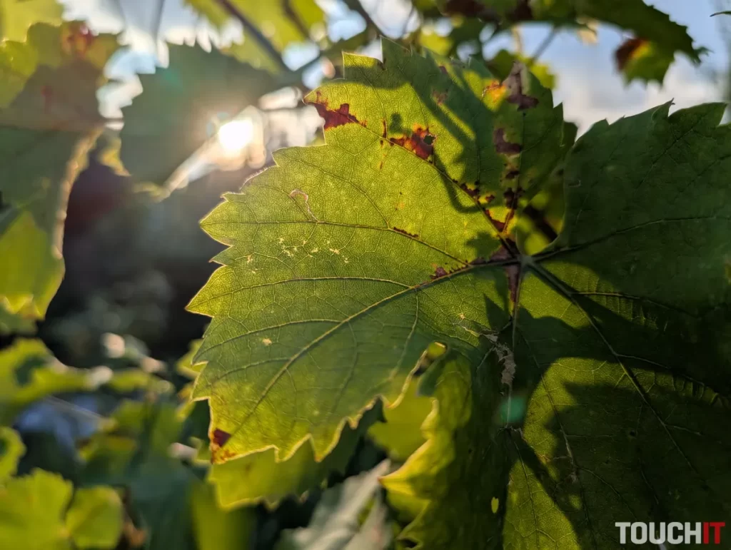 Google Pixel 9 Pro XL denné fotografie