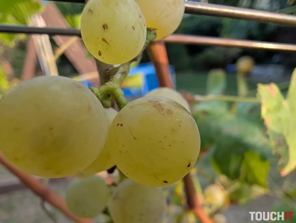 Google Pixel 9 Pro XL denné fotografie