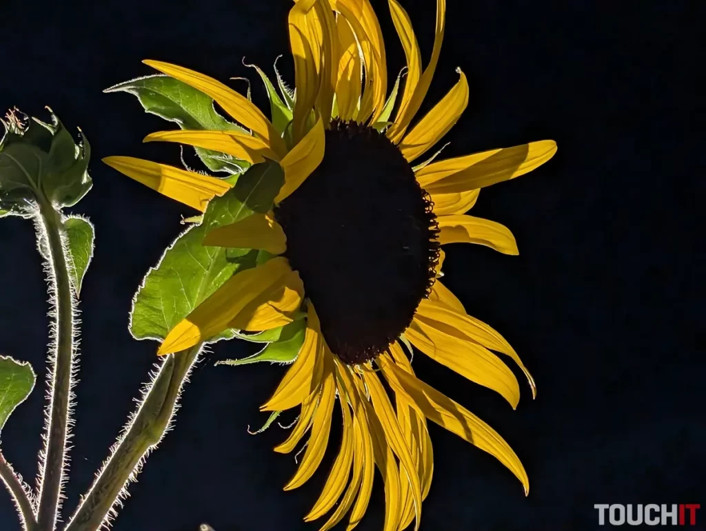 Google Pixel 9 Pro XL nočné fotografie