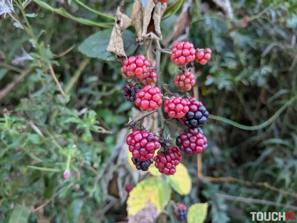 Google Pixel 8a denné fotografie