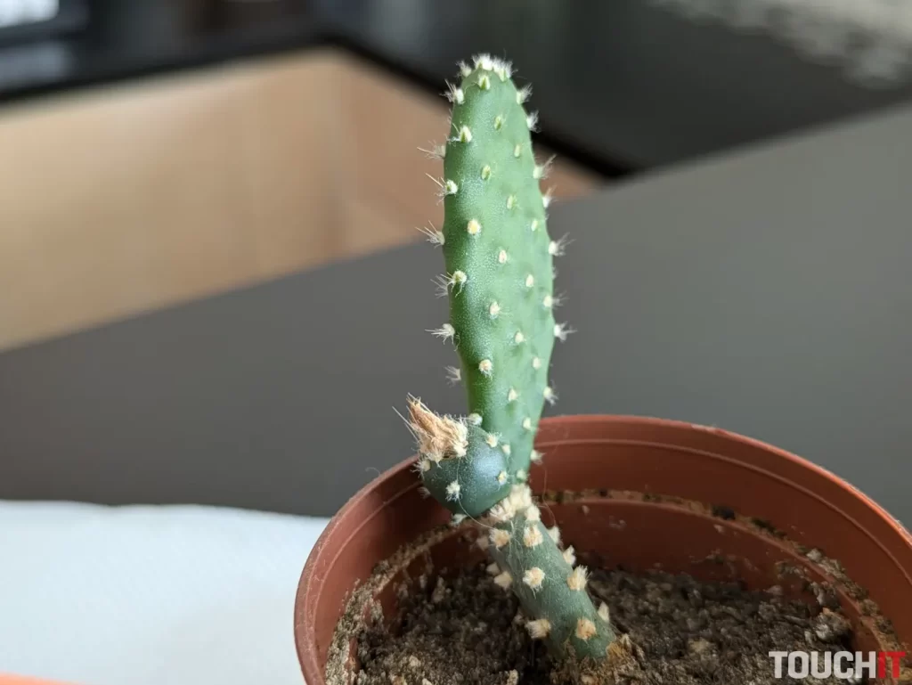 Google Pixel 8a denné fotografie