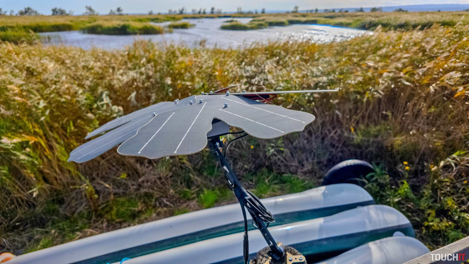 Medvede a umelá inteligencia? Vyzerá to na spojenie