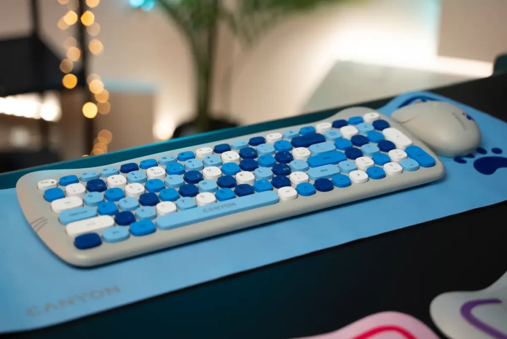 Canyon SET W-6 Kitty Edition