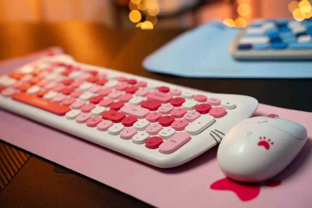 Canyon SET W-6 Kitty Edition