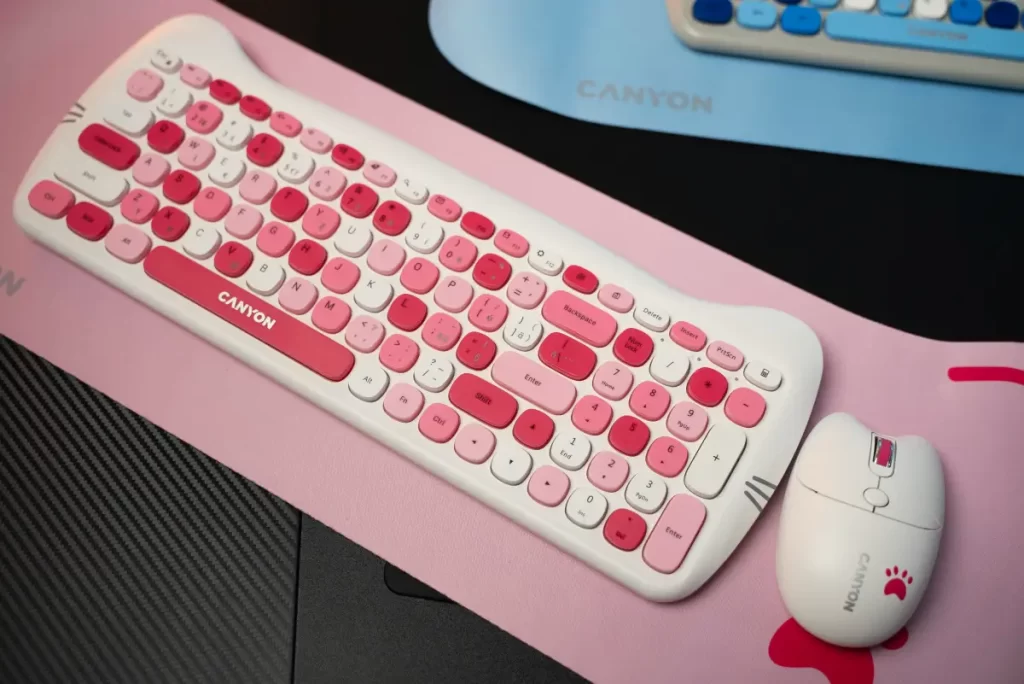 Canyon SET W-6 Kitty Edition