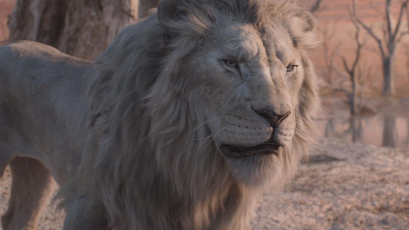 TOP 10 najobľúbenejších filmov na internete – 52. týždeň