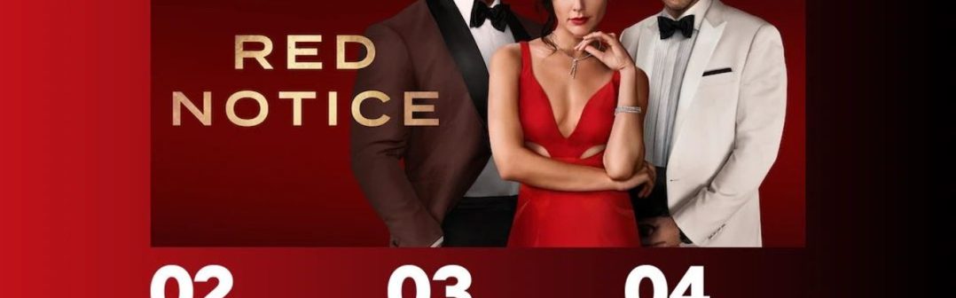 netflix 2024 plagat filmy