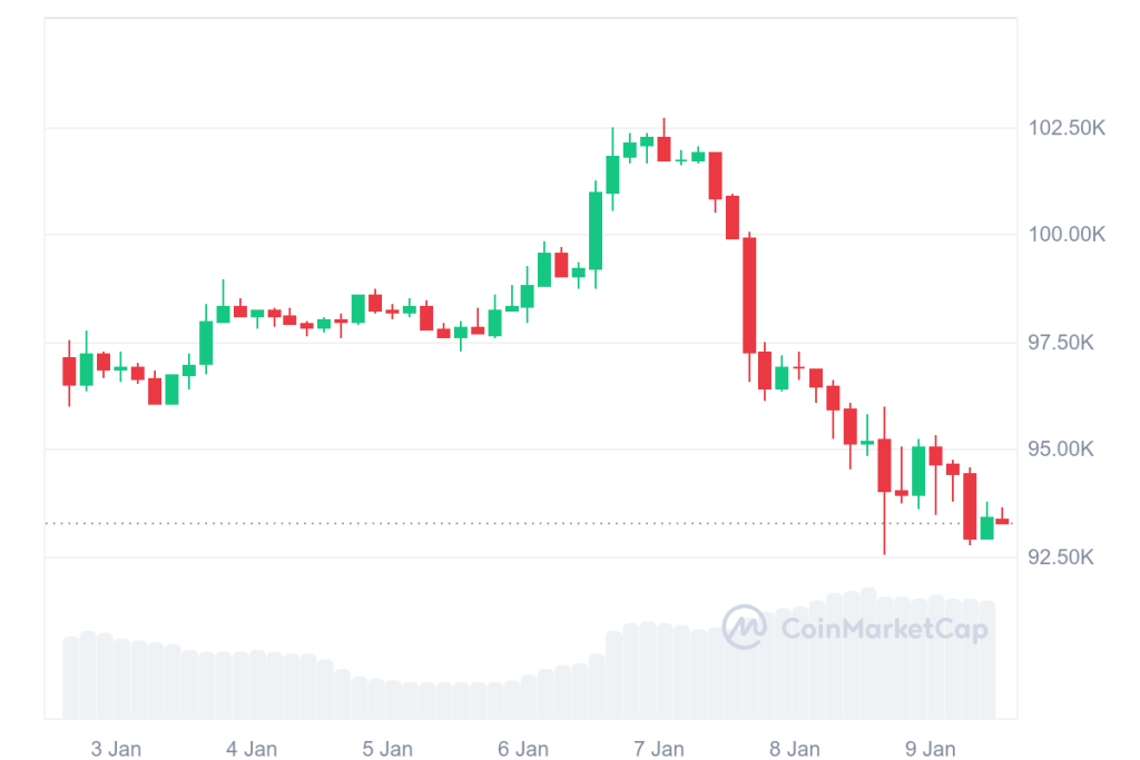 graf BTC v roku 2025