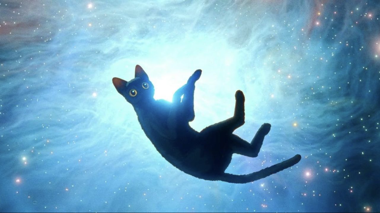 TOP 10 najobľúbenejších filmov na internete – 2. týždeň