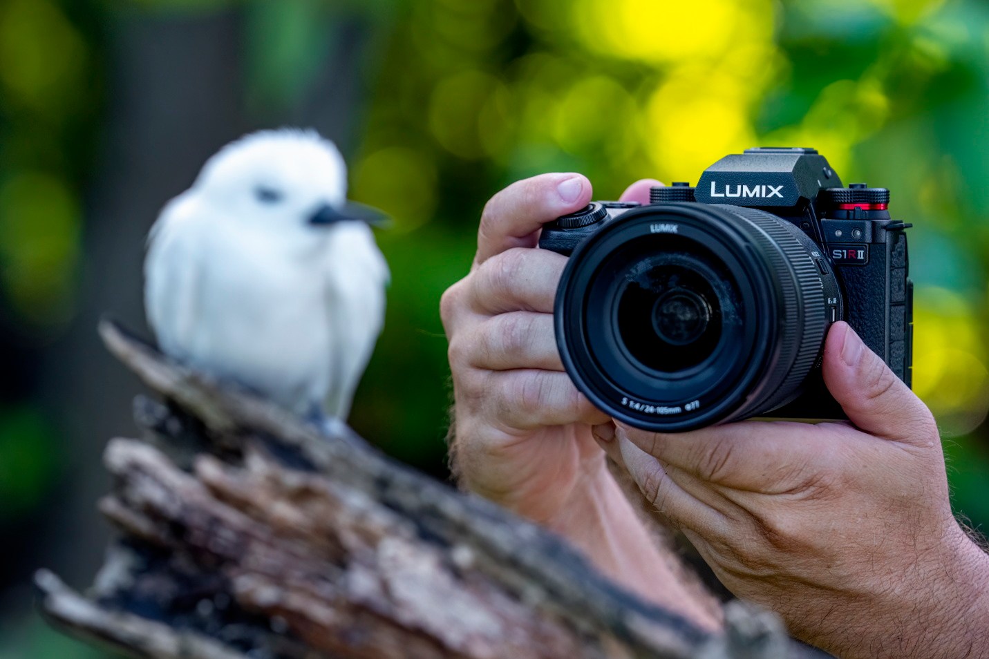 Panasonic predstavuje nový fotoaparát LUMIX S1RII Ultimate Hybrid Full-Frame bezzrkadlový fotoaparát