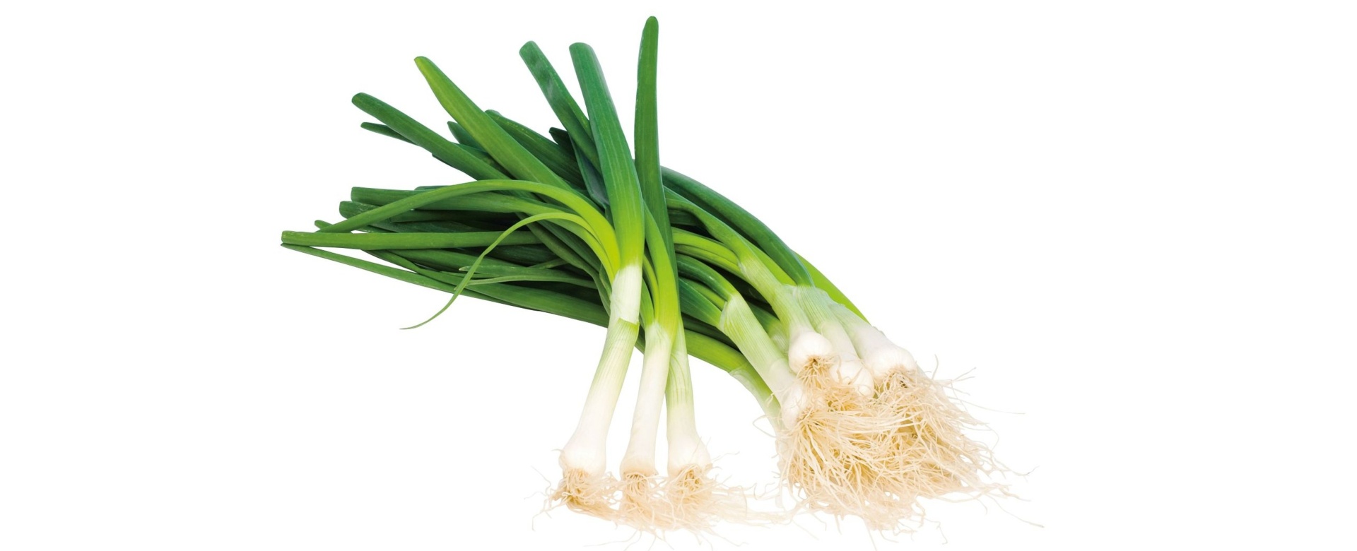 Jar už oficiálne začala. Teraz je ten správny čas na detox s Lidlom