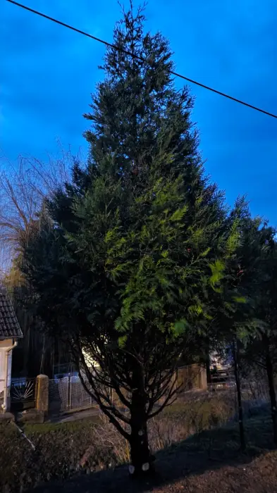 Vyfotené modelom Xiaomi 15 Ultra