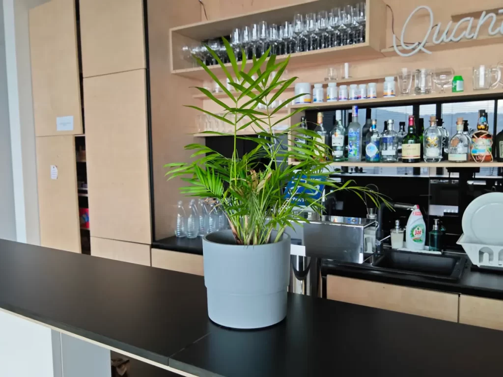 Vyfotené tabletom Xiaomi Pad 7 Pro