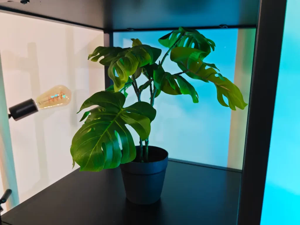 Vyfotené tabletom Xiaomi Pad 7 Pro