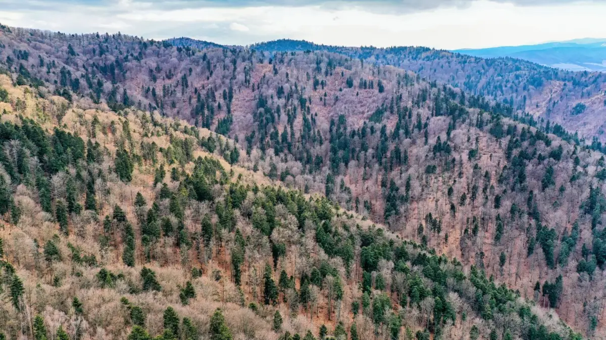 Plavba okolo sveta, prví Slováci na streche Madagaskaru či tango na pakistanskom vrchu Trango