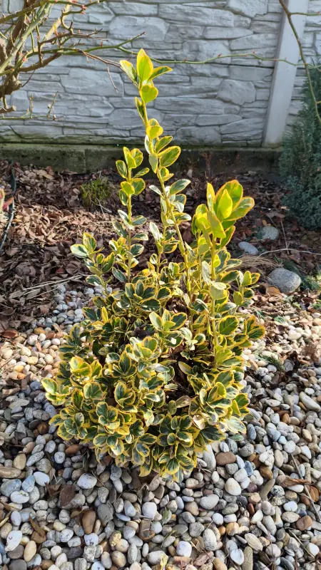 Vyfotené modelom POCO X7 Pro