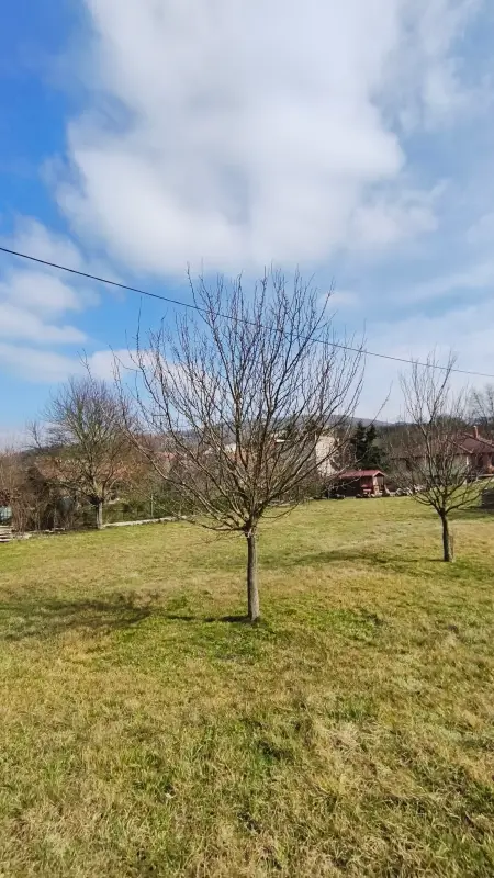 Vyfotené modelom POCO X7 Pro