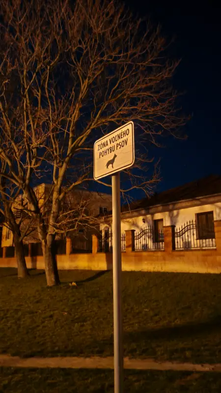 Vyfotené modelom POCO X7 Pro