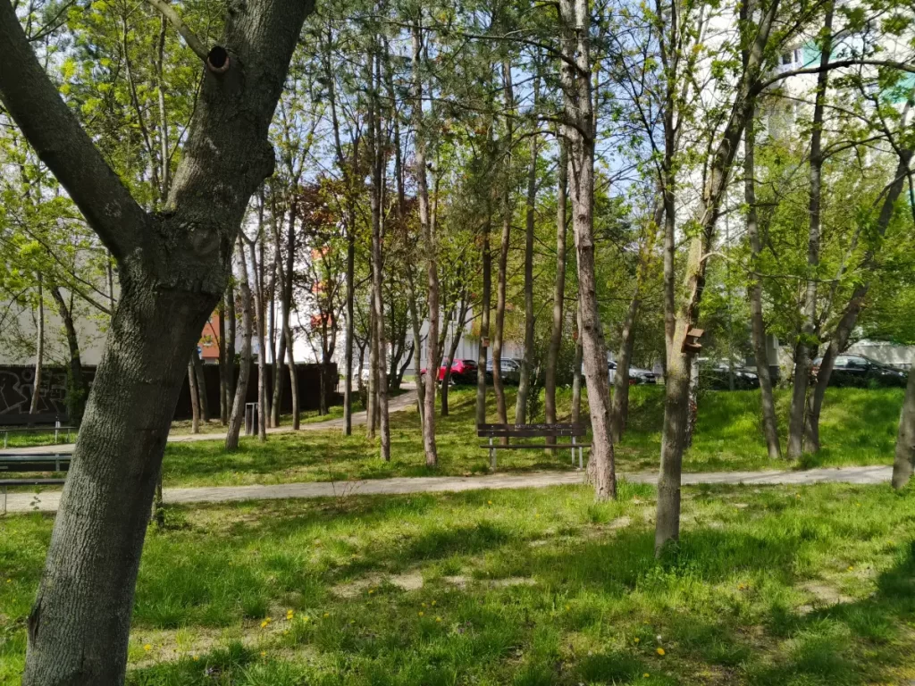 Vyfotené modelom Infinix HOT 50 Pro+ 4G