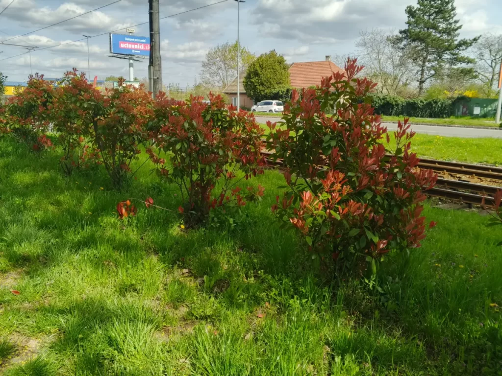 Vyfotené modelom Infinix HOT 50 Pro+ 4G