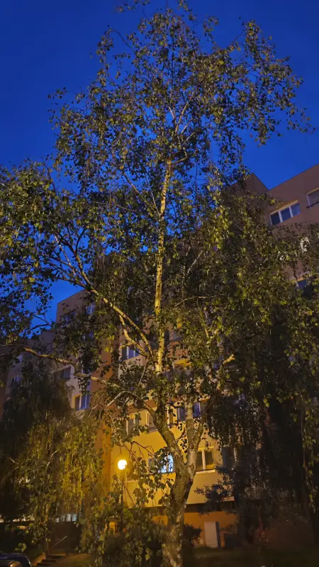 Vyfotené modelom POCO F7 Pro