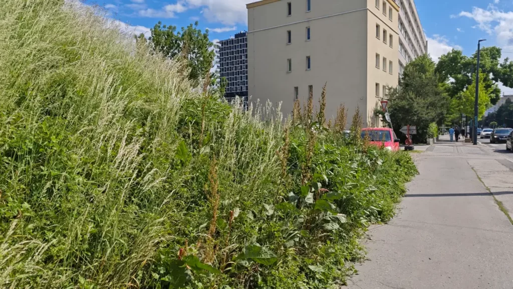 Vyfotené modelom POCO F7 Pro