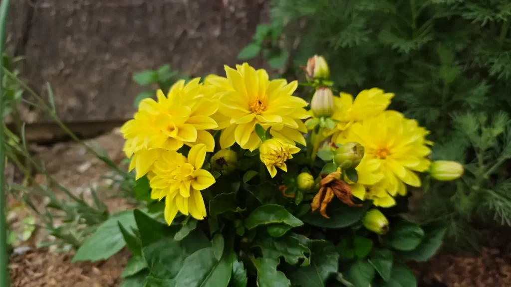 Vyfotené modelom POCO F7 Pro