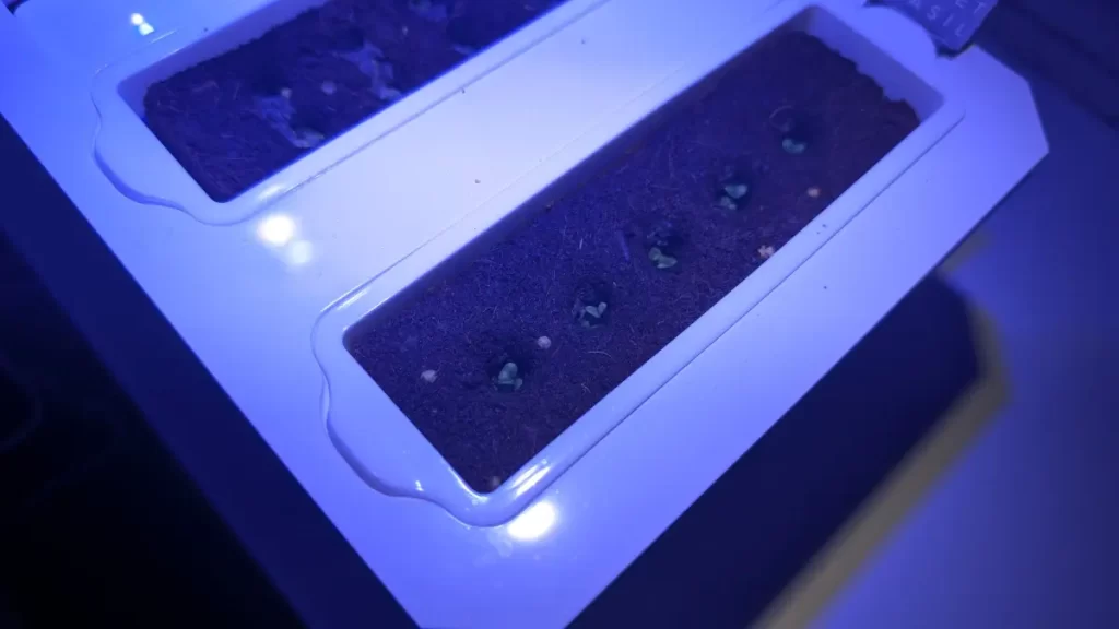 Inteligentné kvetináče Véritable