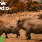 Zoner Photo Studio končí. Na svete je Zoner Studio