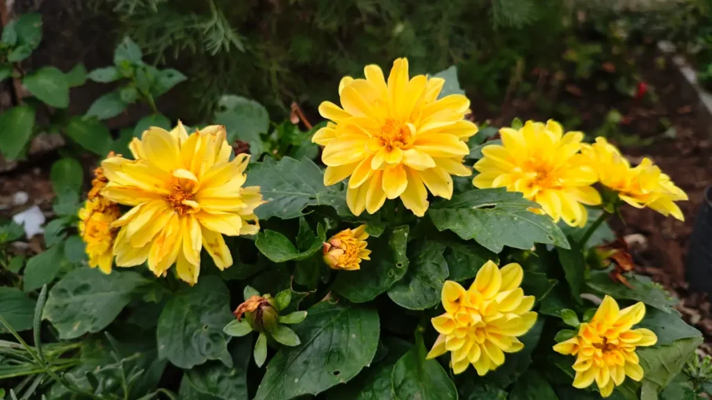 Vyfotené modelom POCO F7