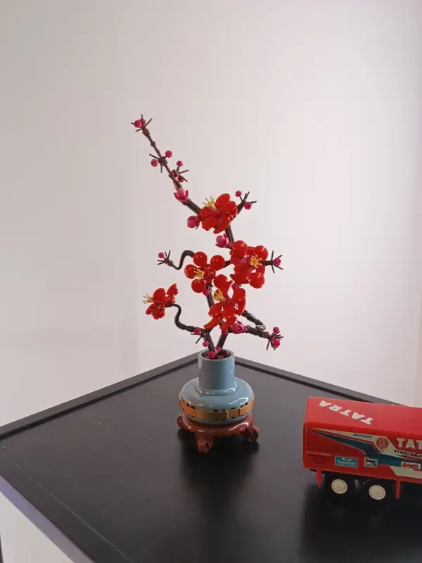 Vyfotené tabletom REDMI Pad 2 4G