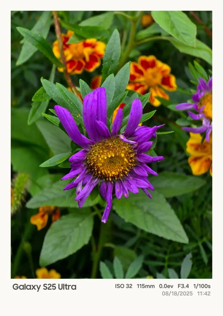 Fotografia z Galaxy S25 Ultra so zapnutým VIVID režimom