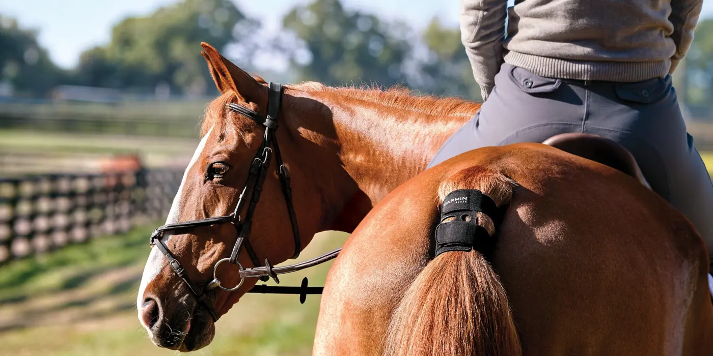 Garmin predstavil novinku: Už aj kone majú vlastný fitnes náramok