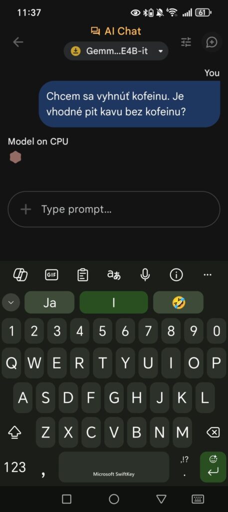 Google AI Edge Gallery