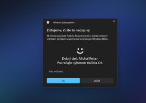 Windows 11 Recall AI