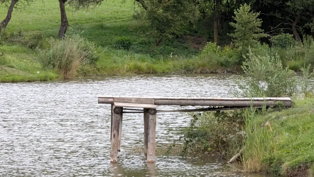 Vyfotené modelom Google Pixel 10