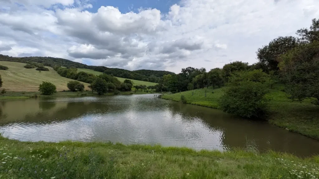 Vyfotené modelom Google Pixel 10