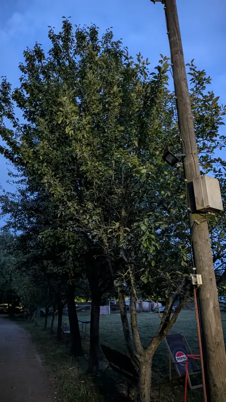 Vyfotené modelom Google Pixel 10