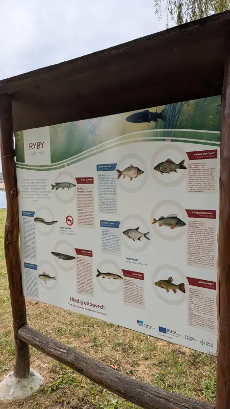 Vyfotené modelom Google Pixel 10