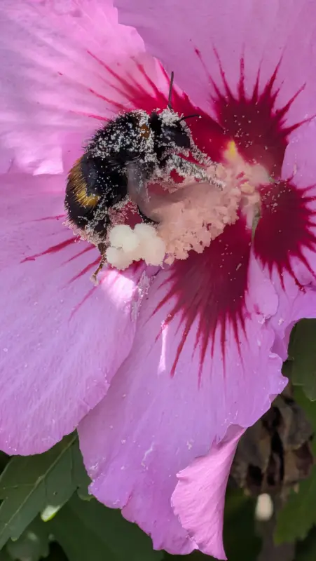 Vyfotené modelom Google Pixel 10