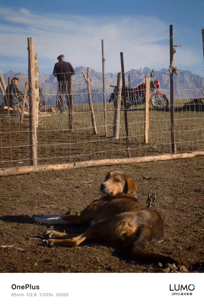 OnePlus 15 ukážková fotografia