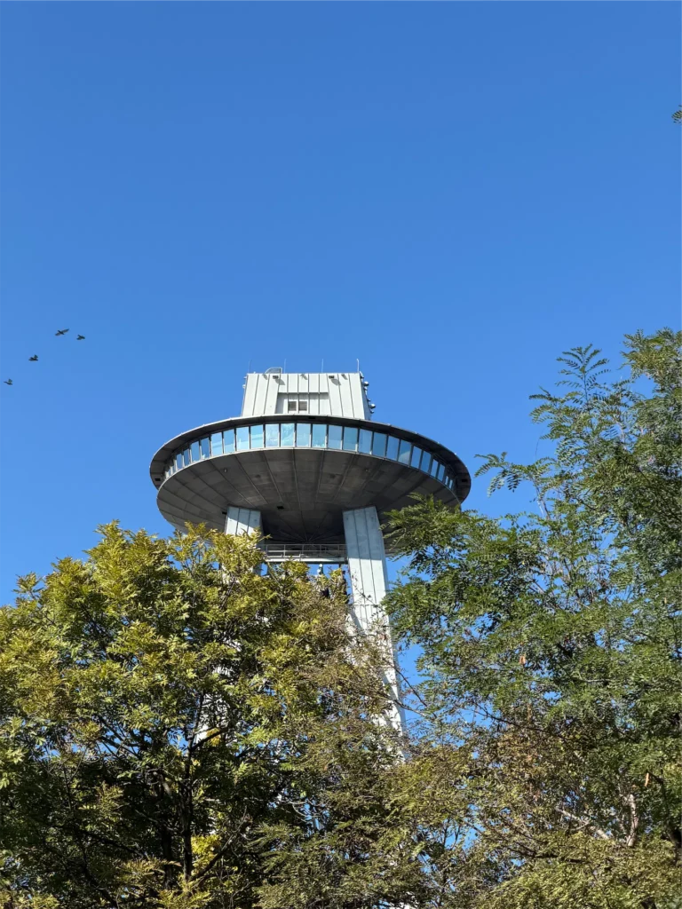 Odfotil iPhone 17 Pro