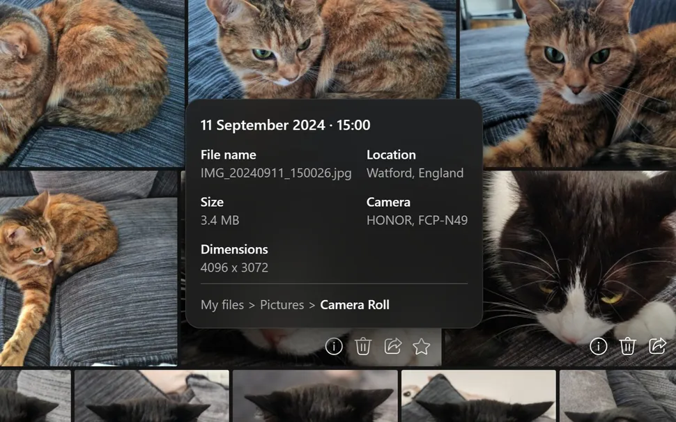 onedrive gallery app