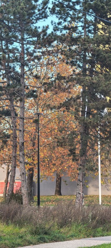 Vyfotené modelom Huawei Pura 80 Pro