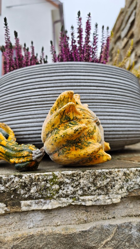 Vyfotené modelom POCO F8 Ultra