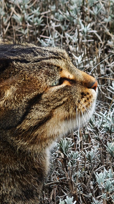 Vyfotené modelom POCO F8 Ultra