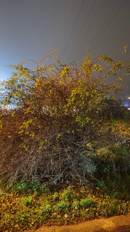 Vyfotené modelom POCO F8 Ultra